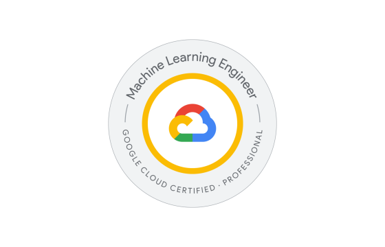 Professional Machine Learning Engineer Exam Questions