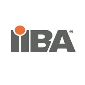 IIBA Exam Questions